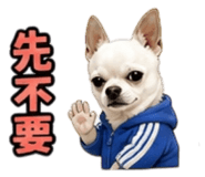 848390736