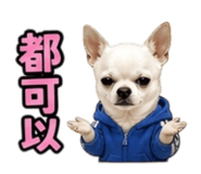 848390738