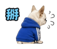 848390754