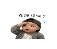 848392031