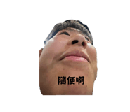848397637