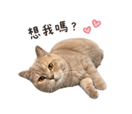 848399118