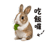 848401437