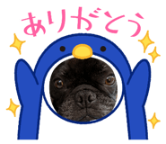 848409872