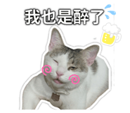848431919