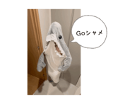 848441628