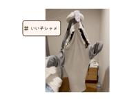 848441633