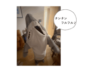 848441636