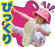 848450913