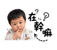 848501716