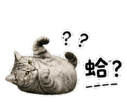 848515567