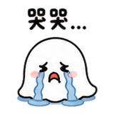 848520548