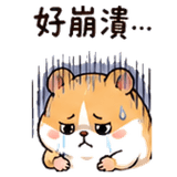 848520641
