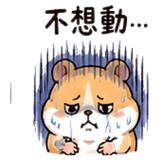 848520642