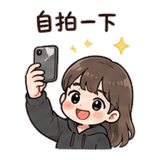 848520739