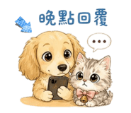 848537107