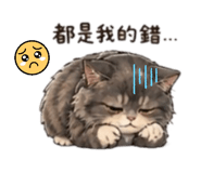 848537113