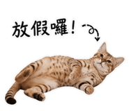 848538438