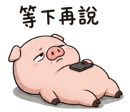 848538828