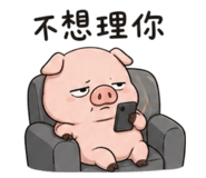 848538830