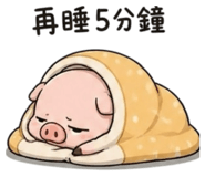 848538836