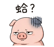 848538838