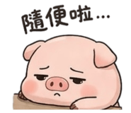 848538842