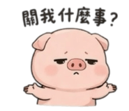 848538844