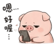 848538845