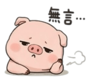848538848