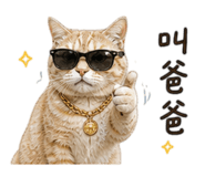 848546125