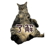 848547193