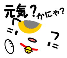 8485572