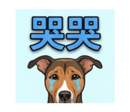 848565196