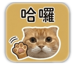 848566998