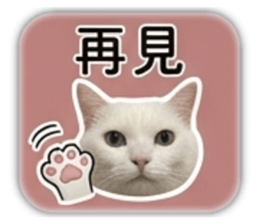 848567003