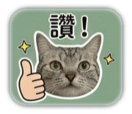 848567018