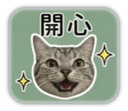 848567020