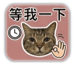 848567024