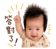 848568194
