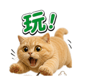 848570877