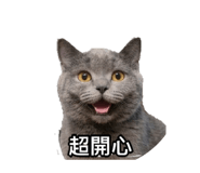848578916