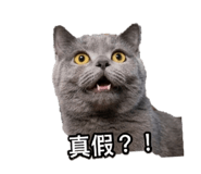 848578918