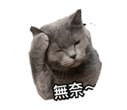 848578931