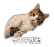 848586660