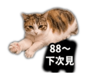 848586672