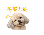 848588650