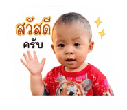 848604529