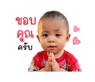 848604530