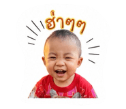 848604531